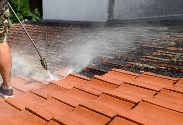 Best Residential Pressure Washing Services  in Clarkson, KY