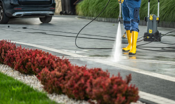 Best Roof Pressure Washing  in Clarkson, KY